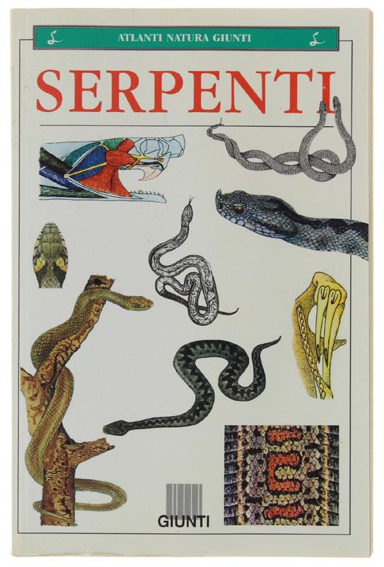 Bergoglio Libri d'Epoca Snc