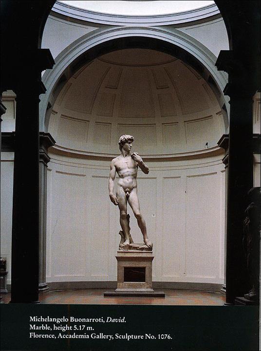 Michelangelo. David. Ediz. inglese - Laura Ciuccetti - 2