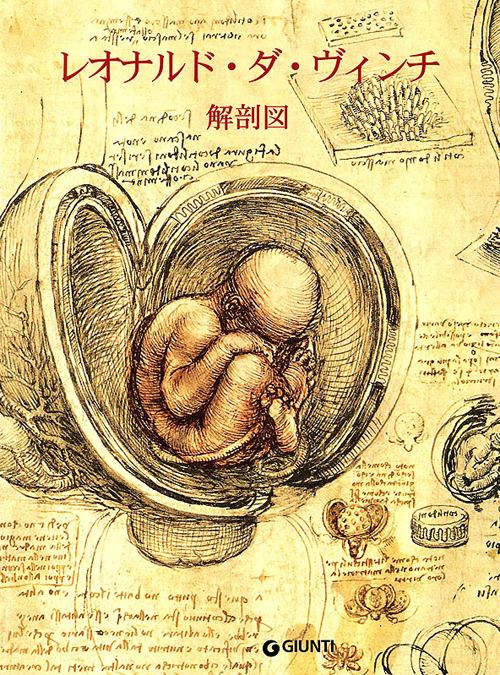 Leonardo. Anatomia. Ediz. giapponese - Marco Cianchi - copertina