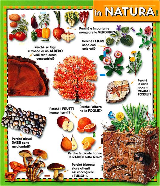 Perché? 100 finestrelle - Anna Casalis - 4