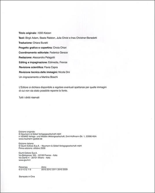 Mille gatti. Ediz. illustrata - 2