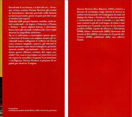 L'harem e l'Occidente - Fatema Mernissi - 3