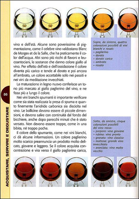 Passione vino. Sceglierlo, servirlo e degustarlo. Con ricette e abbinamenti - 4