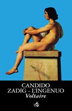 Candido-Zadig-L'ingenuo