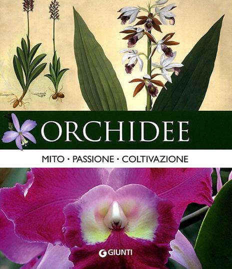 Orchidee. Mito, passione, coltivazione - copertina