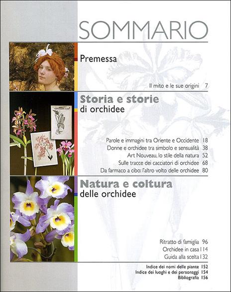 Orchidee. Mito, passione, coltivazione - 3