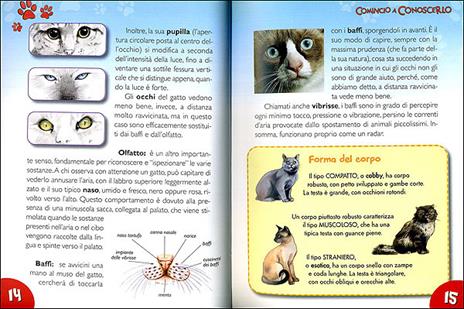 Il mio gatto. Il carattere. L'alimentazione. Le cure. Con stickers - Bruno Tenerezza - 3