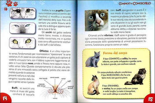 Il mio gatto. Il carattere. L'alimentazione. Le cure. Con stickers - Bruno Tenerezza - 3