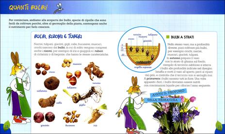 Il mio giardino. Ediz. illustrata - Eliana Contri - 5