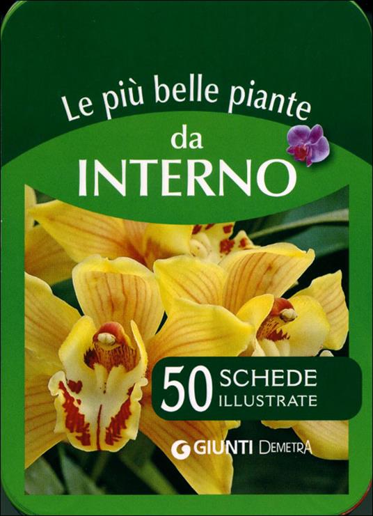 Le più belle piante da interno. 50 schede illustrate - 2
