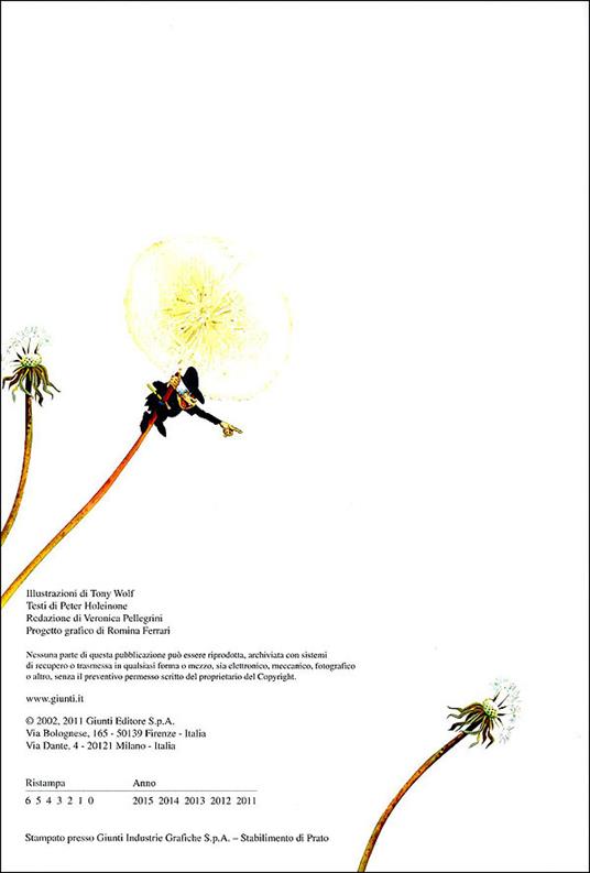 Folletti. Le storie del bosco. Ediz. illustrata - Peter Holeinone - 2