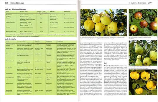 Orto e giardino biologico - Marie-Luise Kreuter - 3