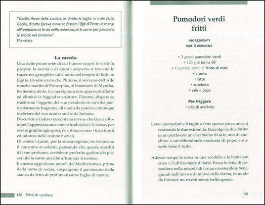 Fritto e mangiato - Annalisa Barbagli,Stefania A. Barzini - 2