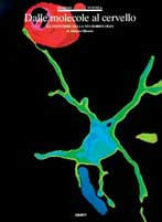 Libreria Internazionale Romagnosi snc