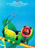 Libreria Internazionale Romagnosi snc