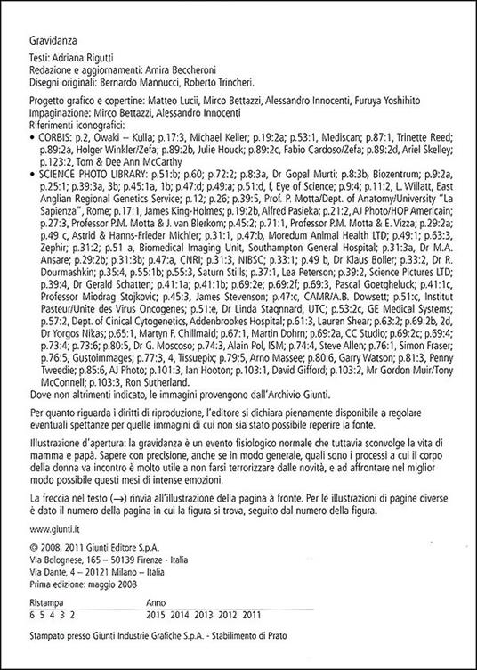 Gravidanza - Adriana Rigutti - 2