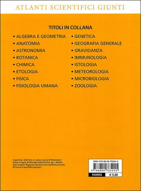 Gravidanza - Adriana Rigutti - 5