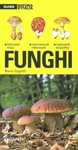 Funghi