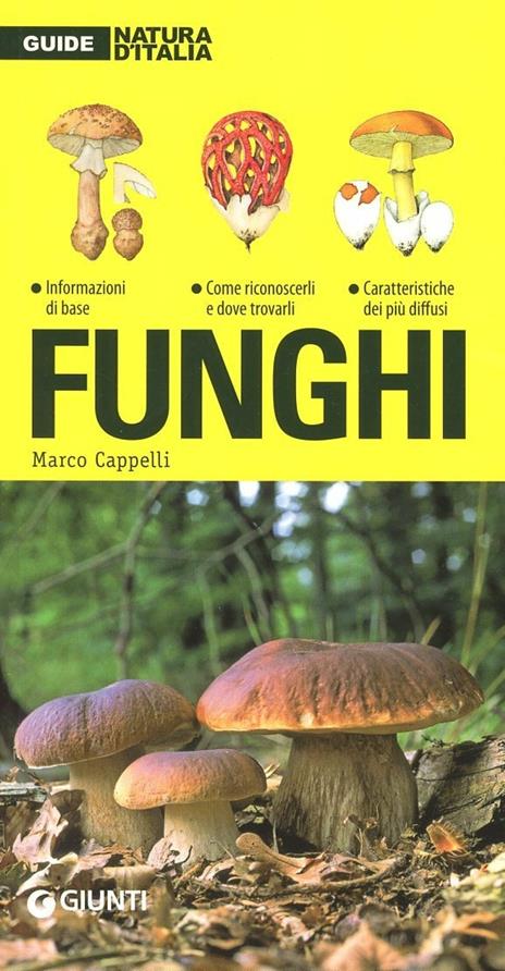 Funghi - Marco Cappelli - copertina