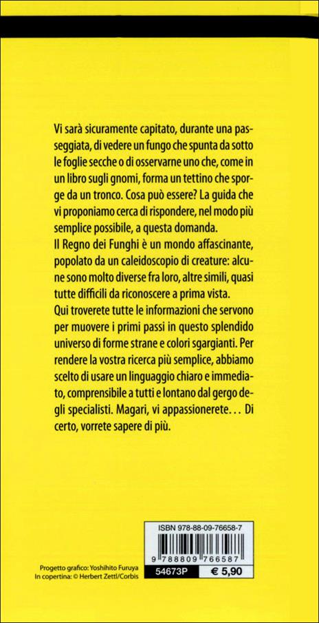 Funghi - Marco Cappelli - 6