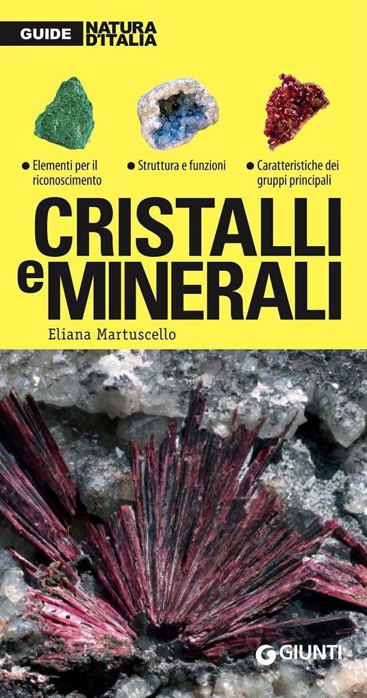 Cristalli e minerali - Eliana Martusciello - copertina