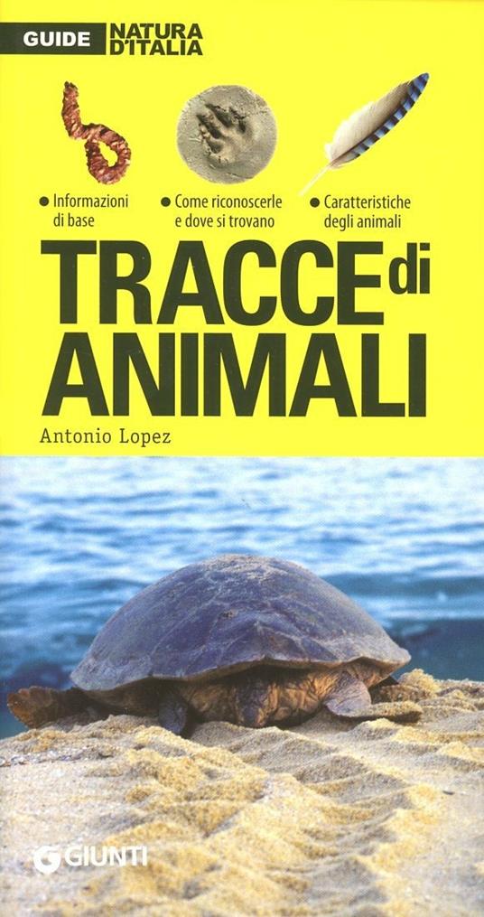 Tracce di animali - Antonio Lopez - copertina