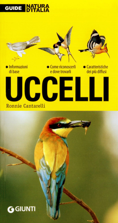 Libraccio