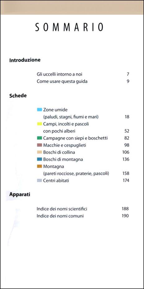 Uccelli - 5