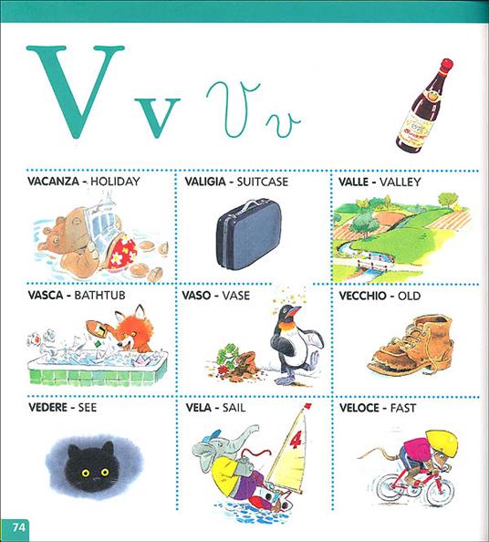 Vocabolario illustrato di inglese - Alessandra Galli,Tony Wolf - 6