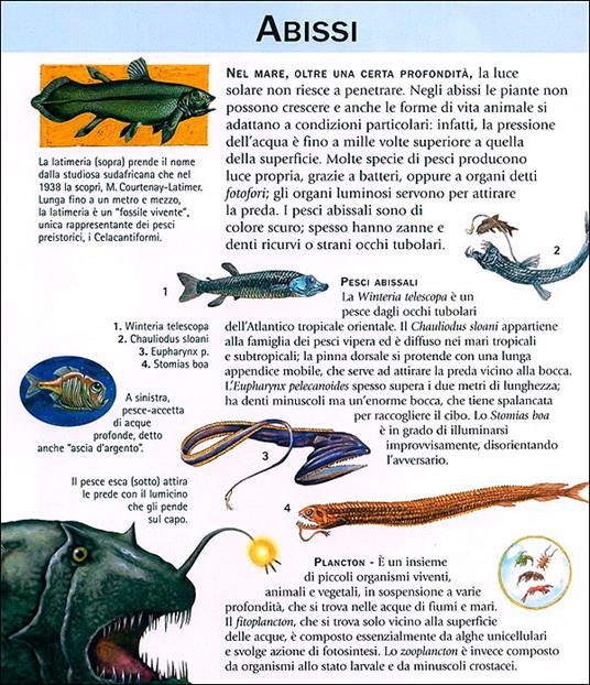 Enciclopedia illustrata per ragazzi. Ediz. illustrata - 7