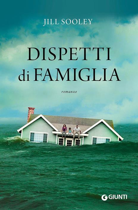 Dispetti di famiglia - Jill Sooley - copertina
