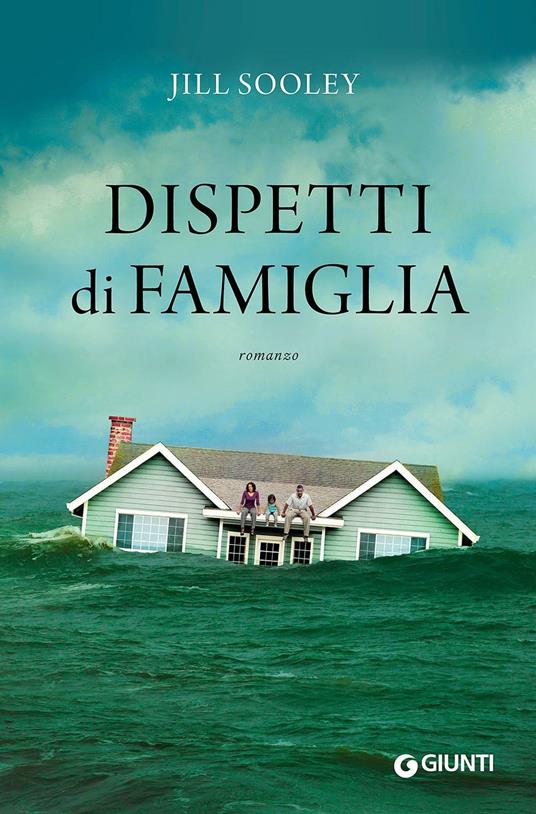 Dispetti di famiglia - Jill Sooley - copertina