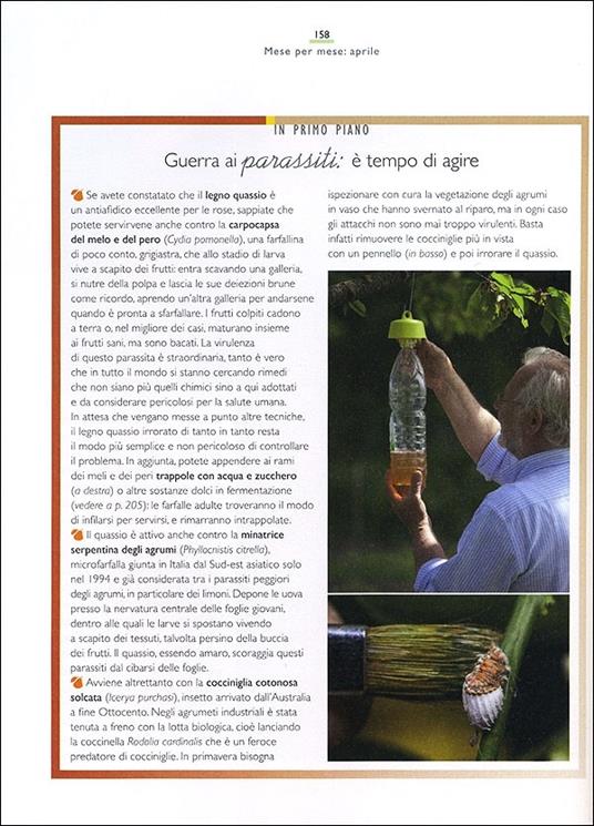 Il maestro giardiniere. Segreti e consigli per il giardino, l'orto e il frutteto - Carlo Pagani,Mimma Pallavicini - 4