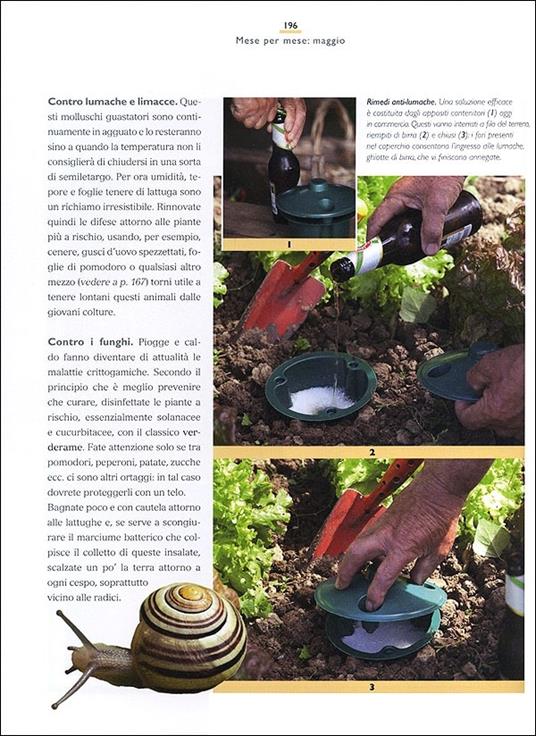 Il maestro giardiniere. Segreti e consigli per il giardino, l'orto e il frutteto - Carlo Pagani,Mimma Pallavicini - 6