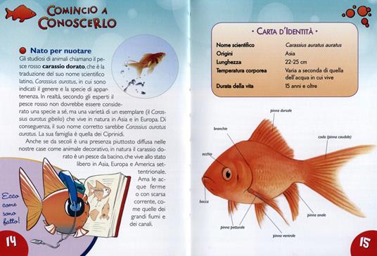 Ho un pesce rosso. Le varietà, l'alimentazione, le cure. Con adesivi - Bruno Tenerezza - 6