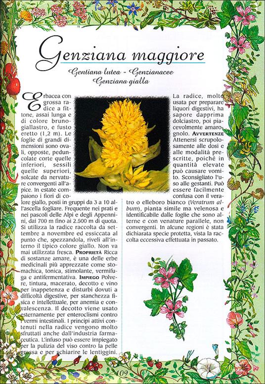 Erbe buone per la salute - 2