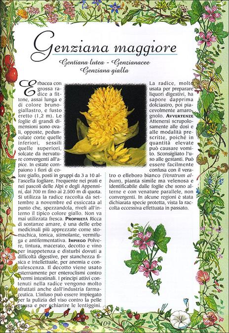 Erbe buone per la salute - 3