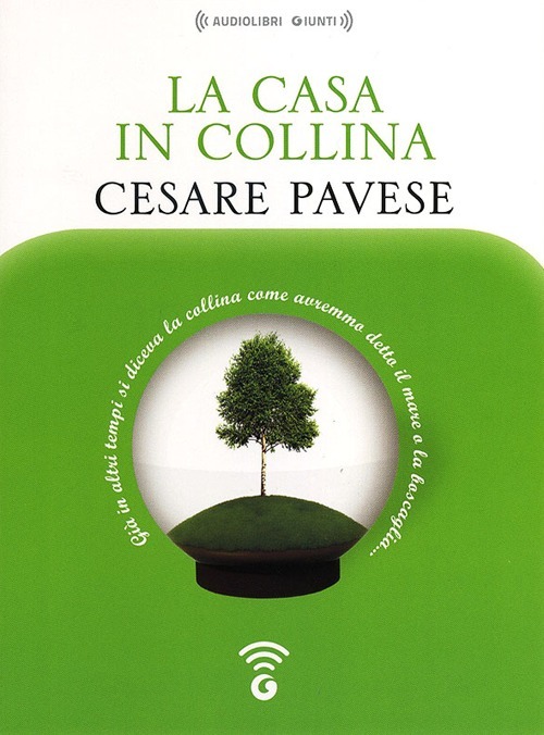Libraccio