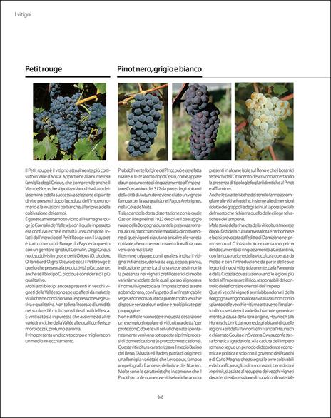 Atlante geologico dei vini d'Italia - 3