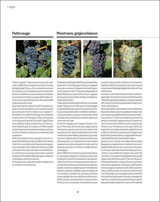 Atlante geologico dei vini d'Italia - 3