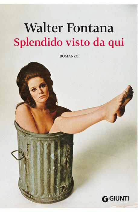 Splendido visto da qui - Walter Fontana - ebook