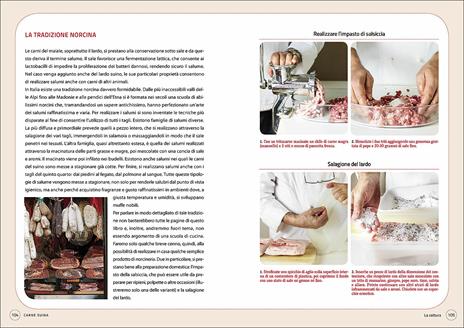 Carni bovine, suine e ovine - 5