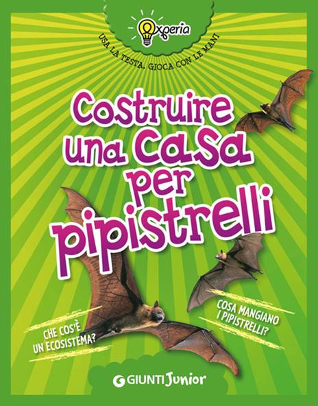 Costruire una casa per pipistrelli - Beniamino Sidoti - copertina