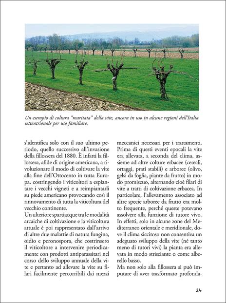 Passione vino. Sceglierlo, servirlo e degustarlo - 4