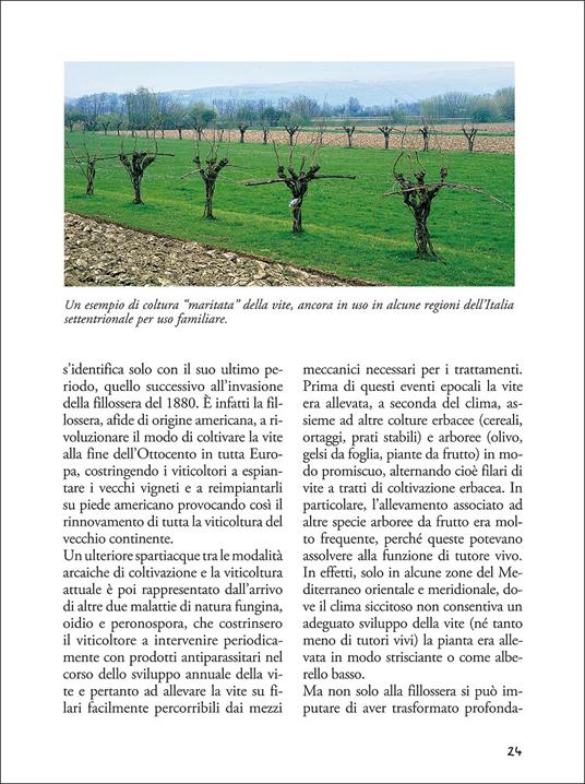 Passione vino. Sceglierlo, servirlo e degustarlo - 4