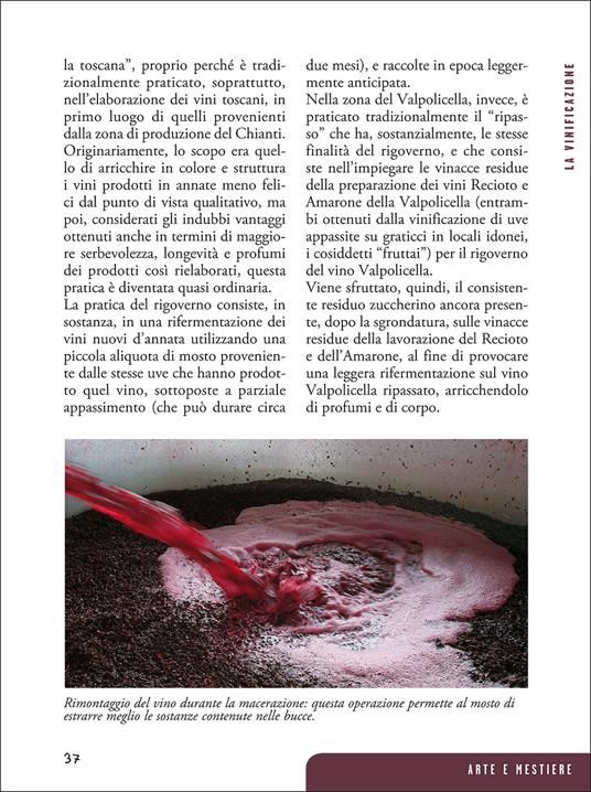 Passione vino. Sceglierlo, servirlo e degustarlo - 3