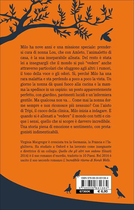 Quello che gli altri non vedono - Virginia MacGregor - 2