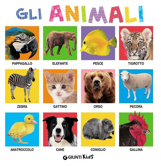 Gli animali. Ediz. illustrata - Libro - Giunti Kids - Libri fotografici
