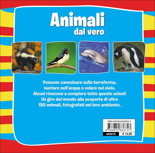 Animali dal vero - Emanuela Busà - 2