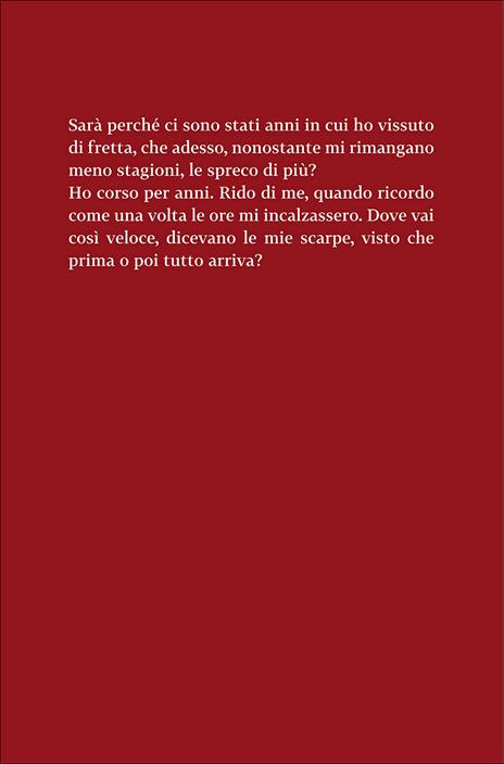 Il vento delle ore - Ángeles Mastretta,Eleonora Mogavero - ebook - 3